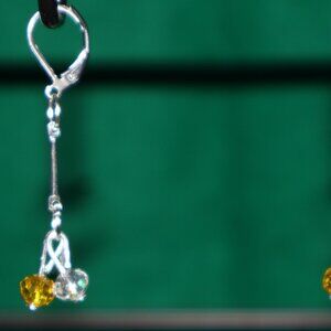 Handmade Drop Pierced Earrings - Green Bay Packers Support - NFLE 22 - 26